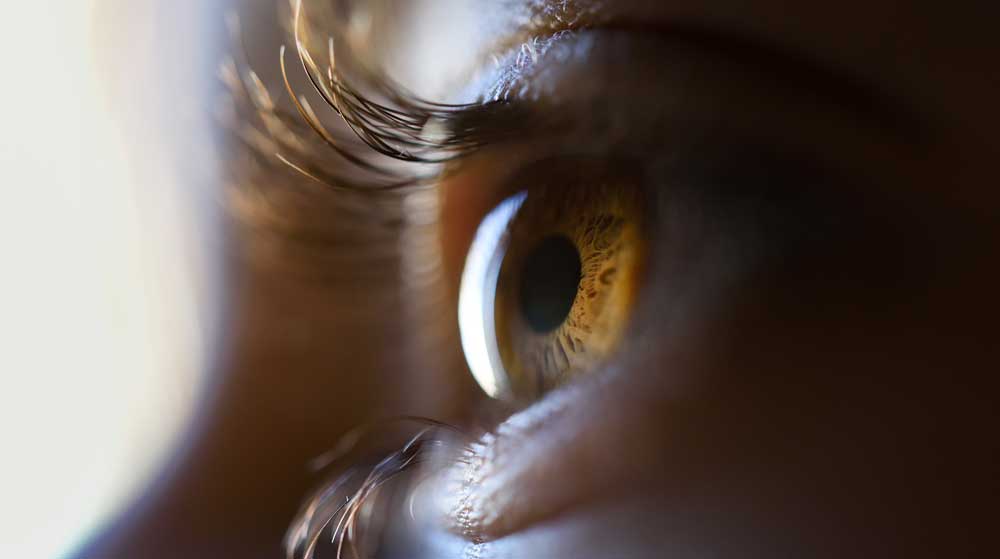 Our goal is to promote better ocular, performance, and general health through a combination of the right ingredients based on the right science.